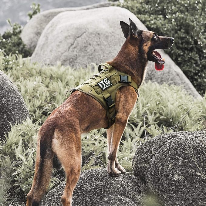 K9Pro Tactical Harness Kit β Training Vest for Medium Dogs
