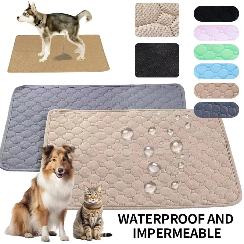 CleanPaws Dog Pee Pad β Washable, Reusable Training Mat for Pets