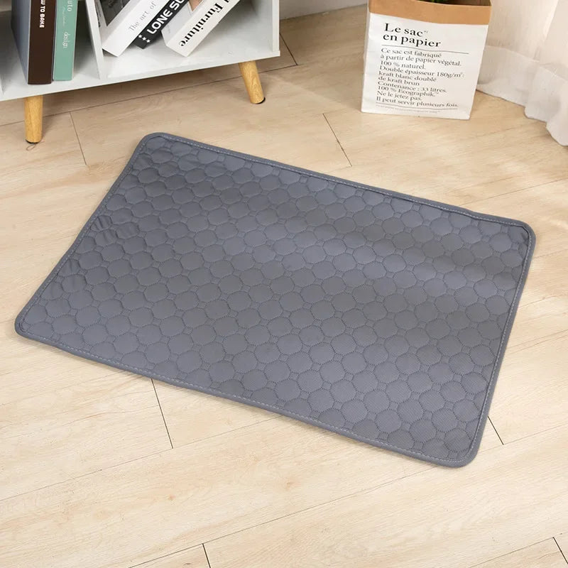 CleanPaws Dog Pee Pad β Washable, Reusable Training Mat for Pets