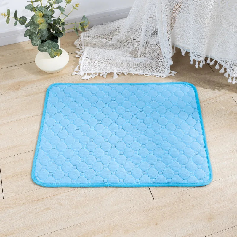 CleanPaws Dog Pee Pad β Washable, Reusable Training Mat for Pets