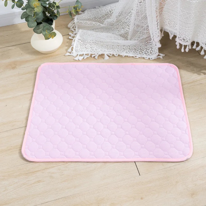 CleanPaws Dog Pee Pad β Washable, Reusable Training Mat for Pets