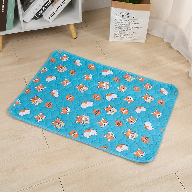 CleanPaws Dog Pee Pad β Washable, Reusable Training Mat for Pets