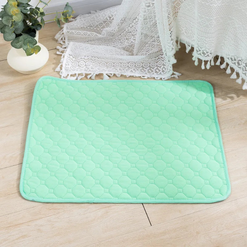 CleanPaws Dog Pee Pad β Washable, Reusable Training Mat for Pets