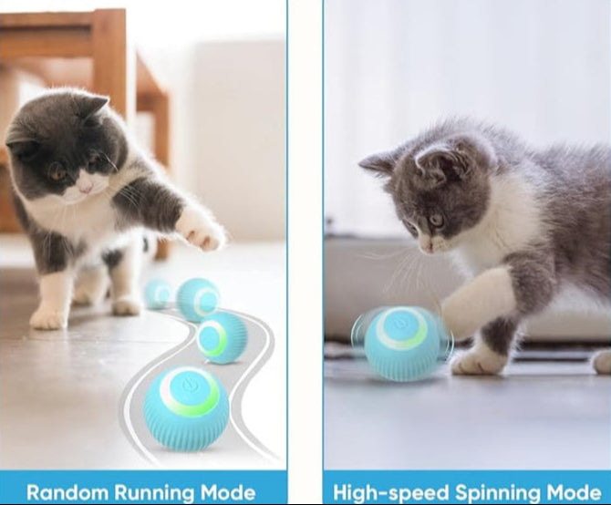 PawSpin Smart Cat Toy – Automatic Rolling Interactive Game Ball