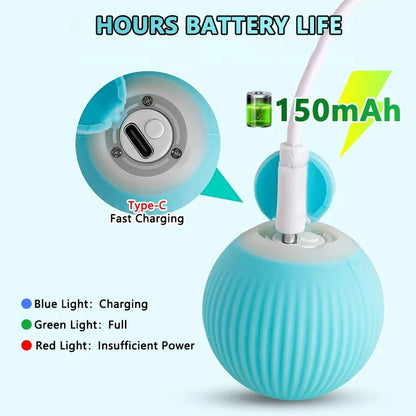 PawSpin Smart Cat Toy – Automatic Rolling Interactive Game Ball